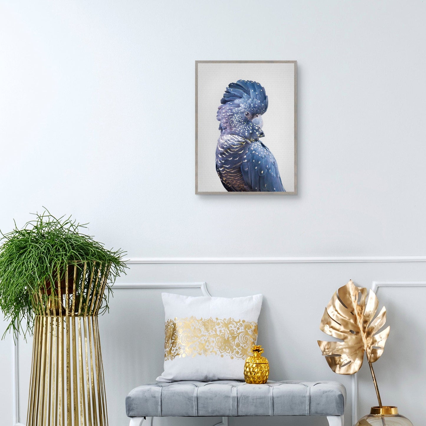 Cacatua negra - Sisi and Seb