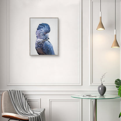 Cacatua negra - Sisi and Seb