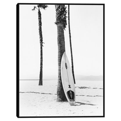 Tabla de surf - Sisi and Seb