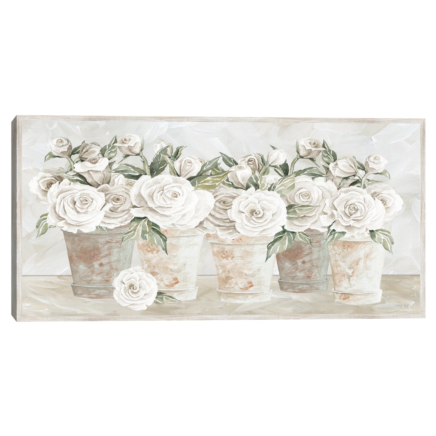 Rosas en maceta - Cindy Jacobs