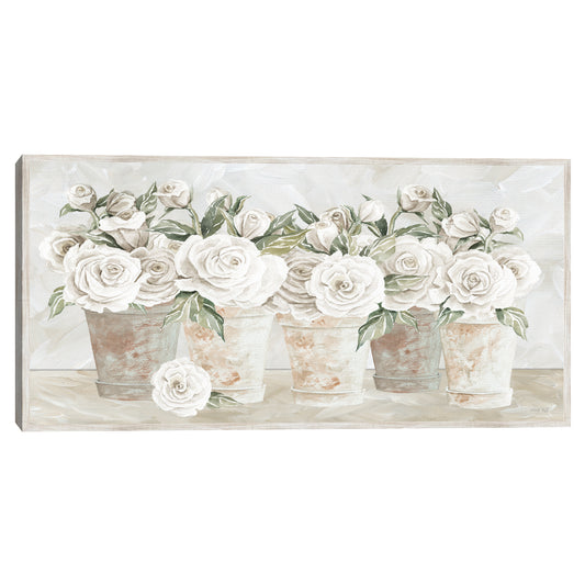 Rosas en maceta - Cindy Jacobs