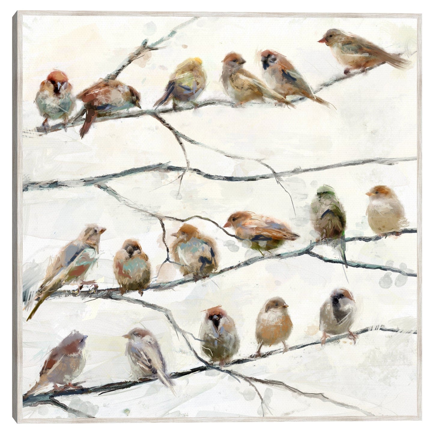 Pájaros del mismo plumaje - Studio Arts