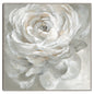 Rosa blanca - Danhui Nai