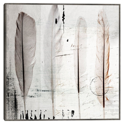Cuatro plumas I - Belle Maison