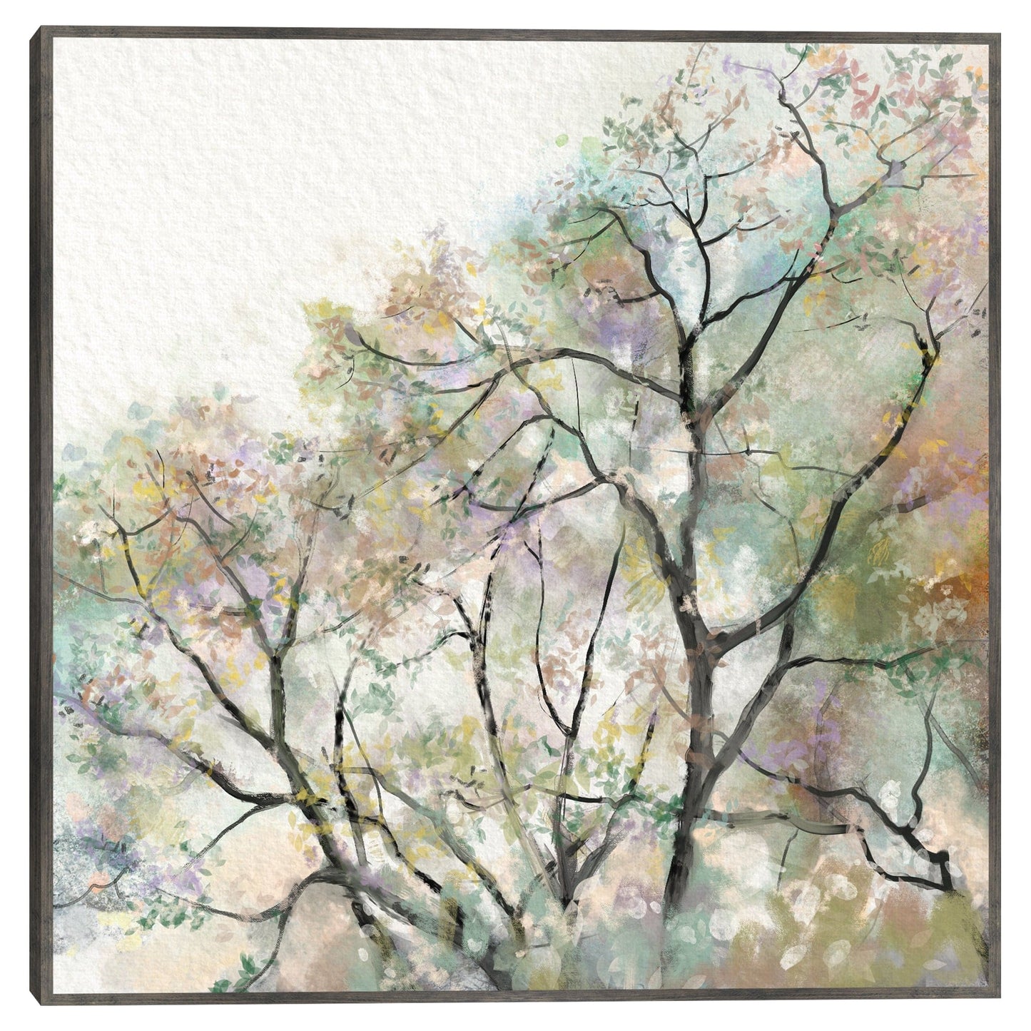 Sueño de verano - Studio Arts