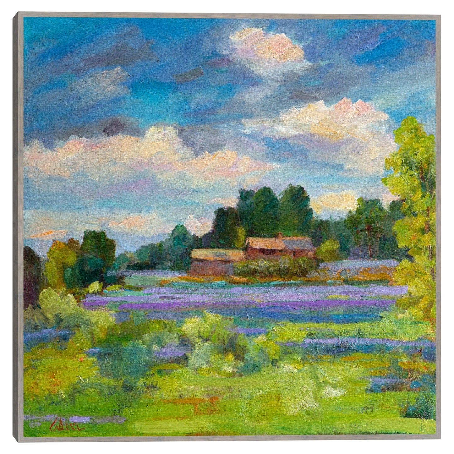 Campo de lavanda - Alexi Fine