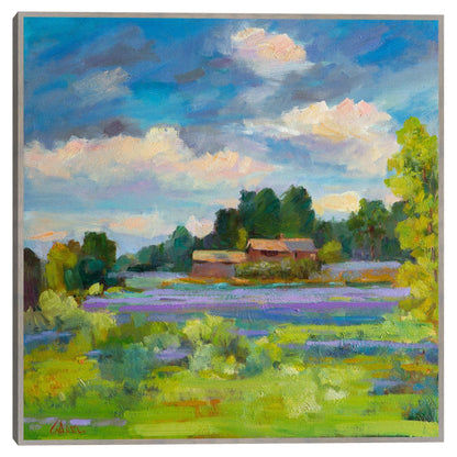 Campo de lavanda - Alexi Fine