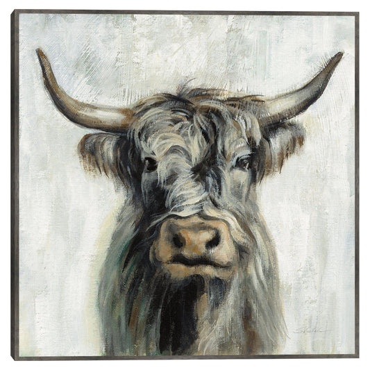 Vaca de las tierras altas - Silvia Vassileva
