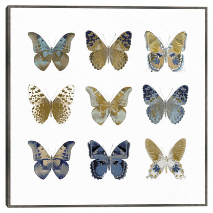 Estudio de mariposa I - Julia Bosco