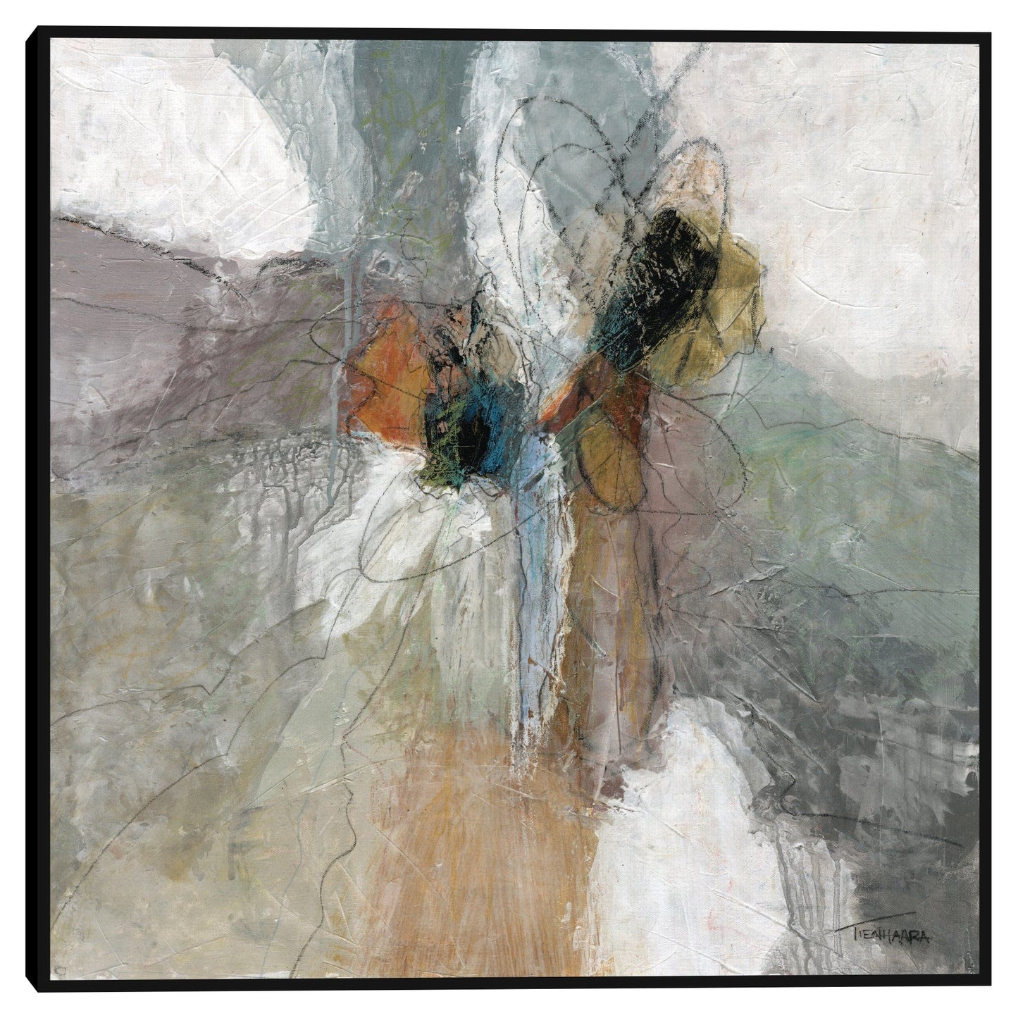 Placidez II - Michael Tienhaara