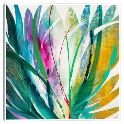 Agave - K. Nari