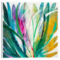 Agave - K. Nari