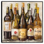 Vinologia V - Studio Arts