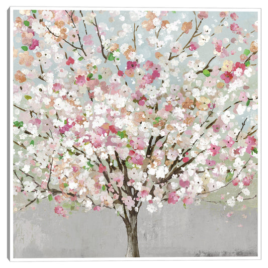 Amor de primavera - Allison Pearce
