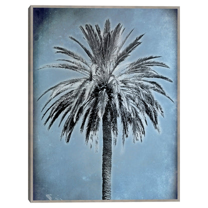 Palma sobre azul - Belle Maison