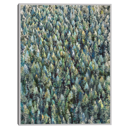 Alto Natural - Studio Arts