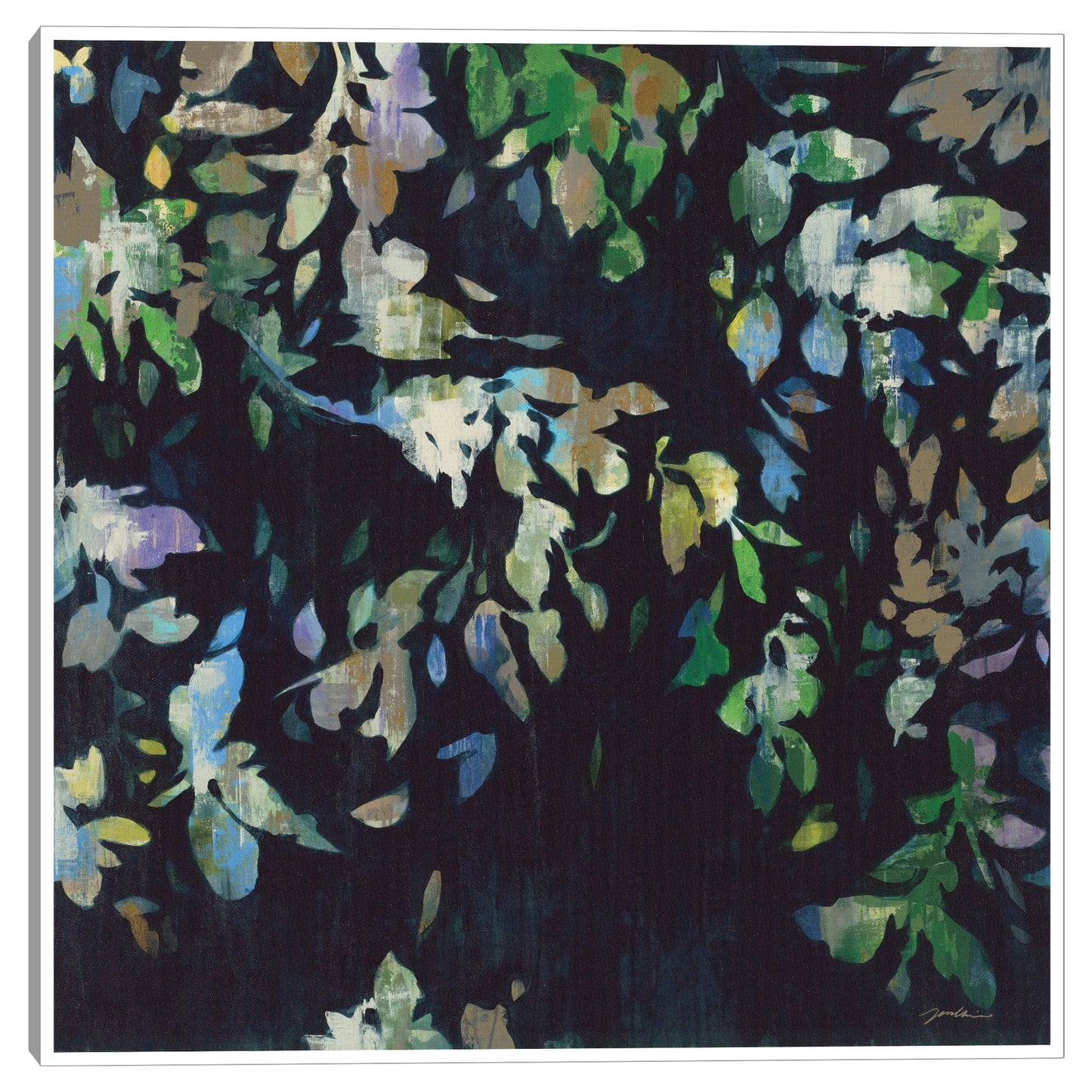 Atrapando la luz - Liz Jardine