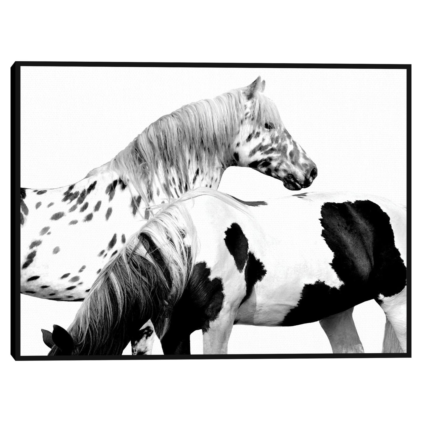 Manchado y Pinto - Samantha Carter