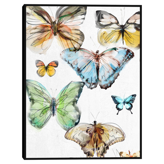 Mariposas - Studio Arts