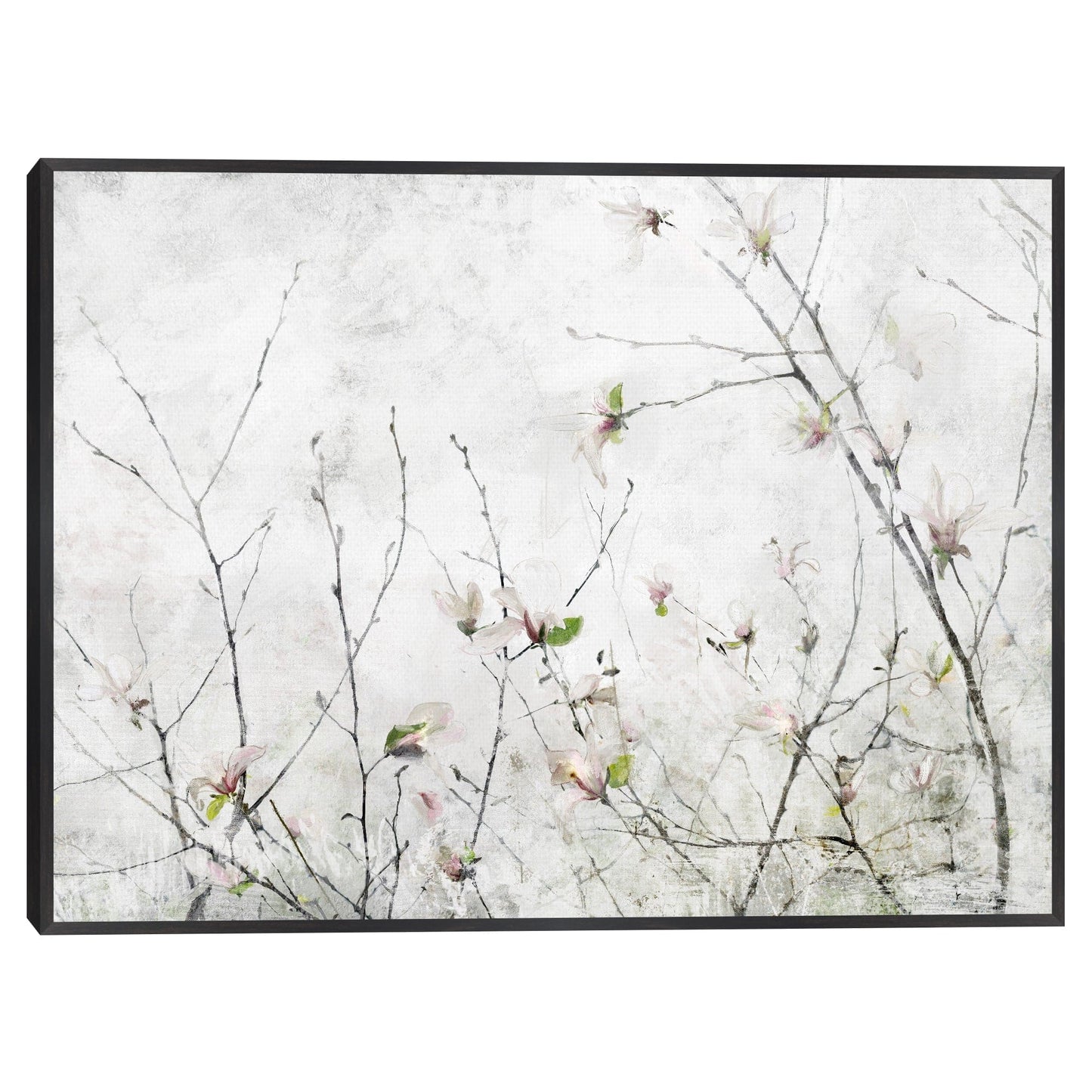 Momento de magnolia - Studio Arts