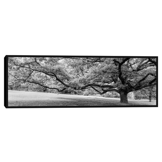 Grandeza - Panoramic Images