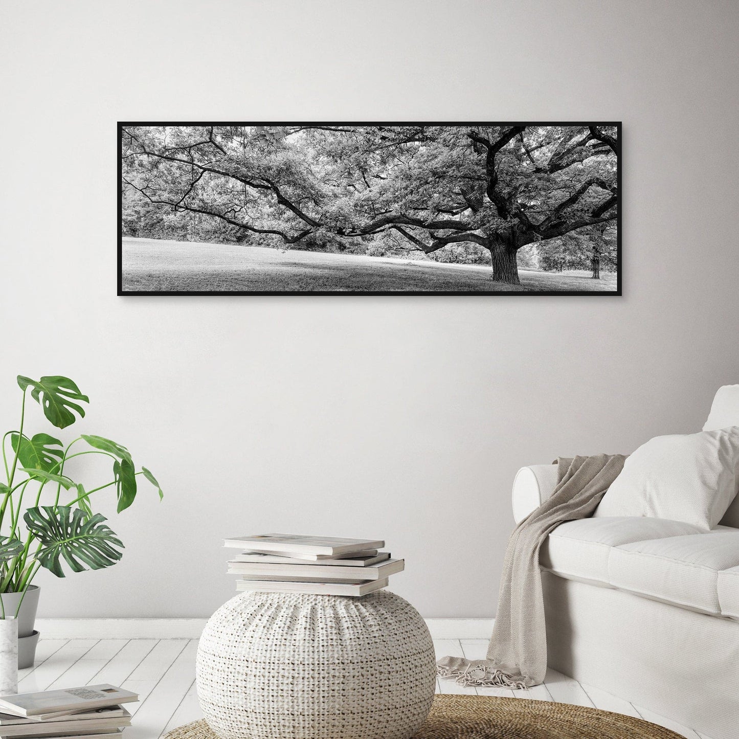 Grandeza - Panoramic Images