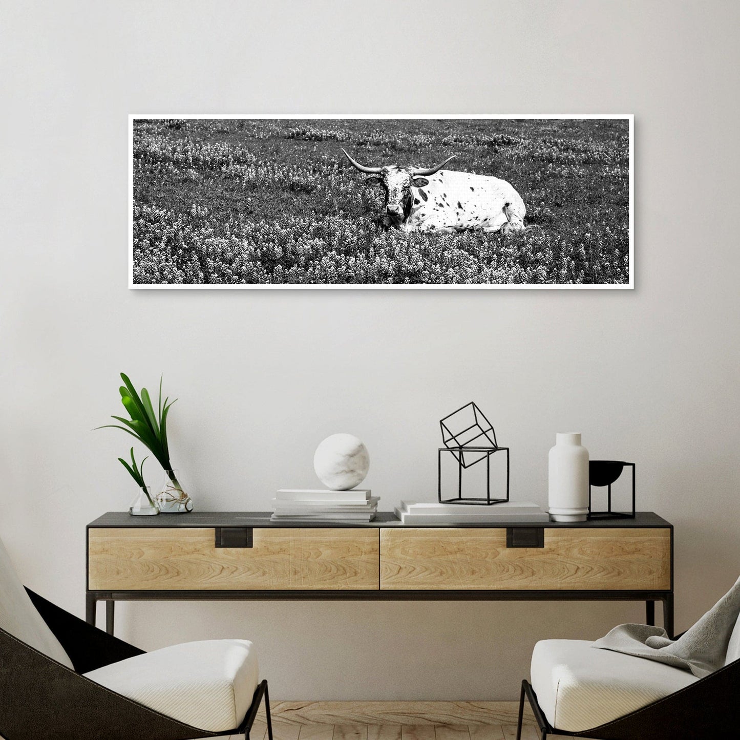 Pradera Longhorn - Panoramic Images