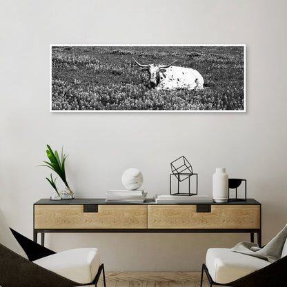 Pradera Longhorn - Panoramic Images