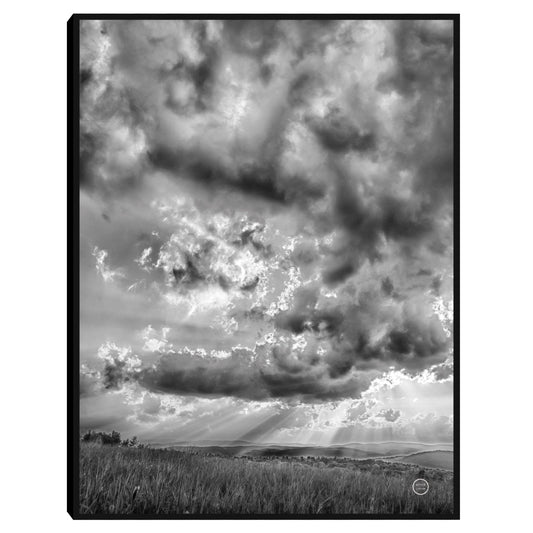 Rayas de pasto rodantes - Nathan Larson