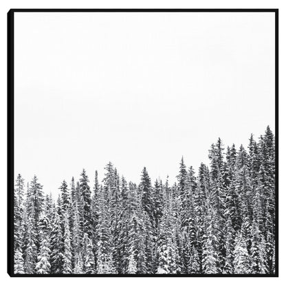Bosque de invierno - Heather Herzog