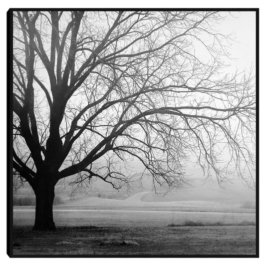 El Overlook - Sue Templin