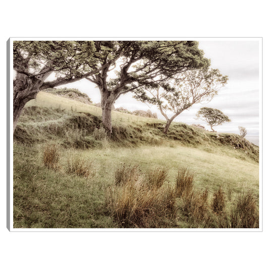 Ladera irlandesa - Andy Amos