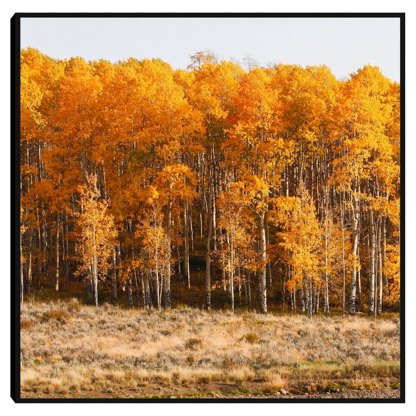 El bosque en otoño - Kathy Mansfield