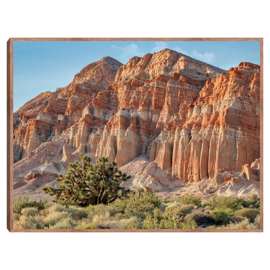 Rocas rojas del desierto - AM Photography