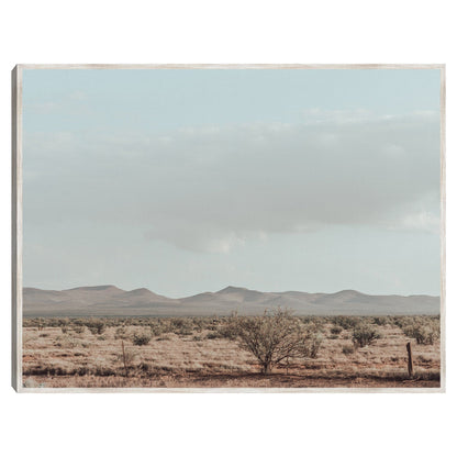 Oeste de Texas - 527 Photo