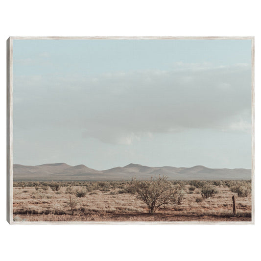 Oeste de Texas - 527 Photo