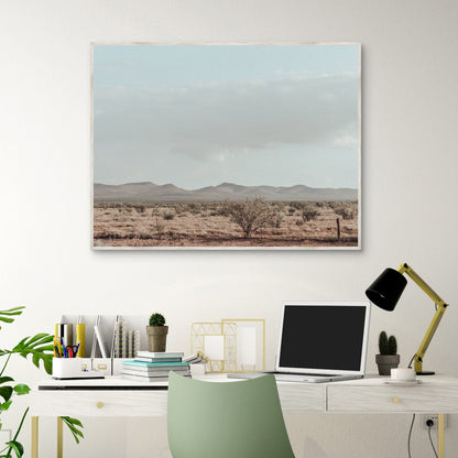 Oeste de Texas - 527 Photo