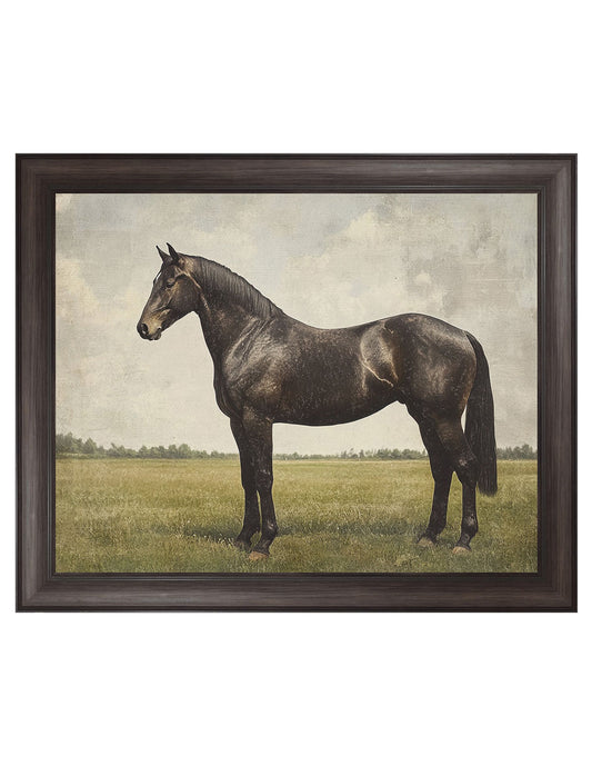 Caballo Expreso - Petals Prints Design