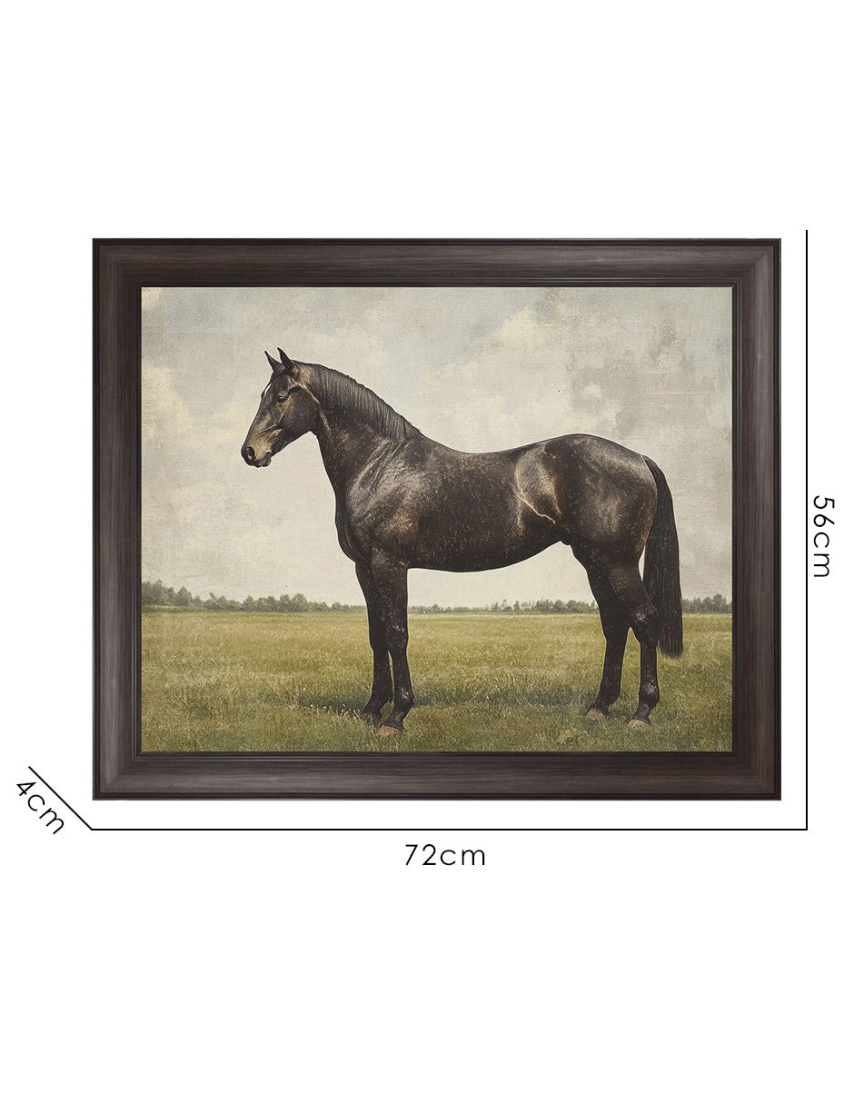 Caballo Expreso - Petals Prints Design