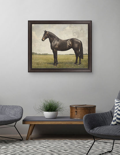 Caballo Expreso - Petals Prints Design