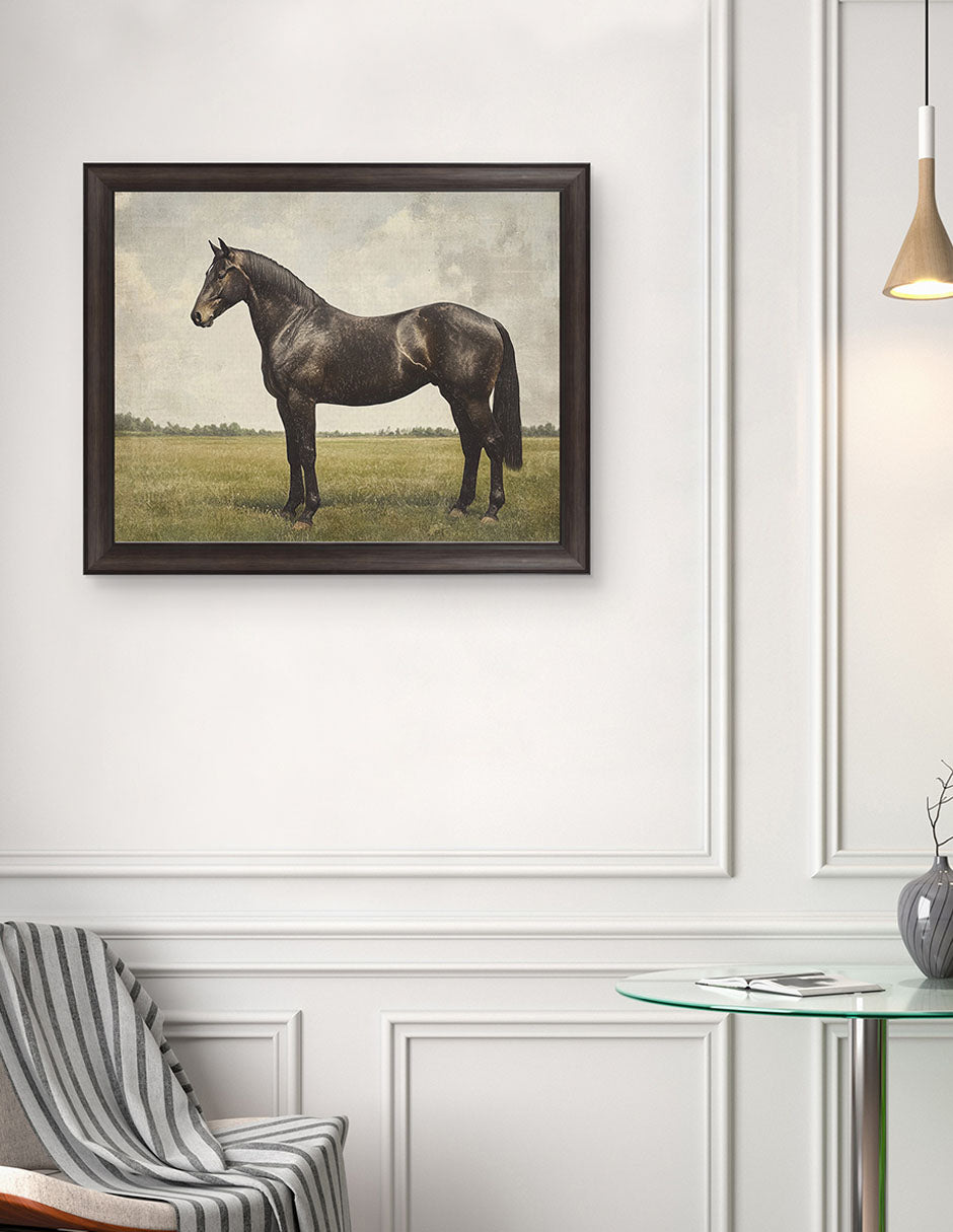 Caballo Expreso - Petals Prints Design