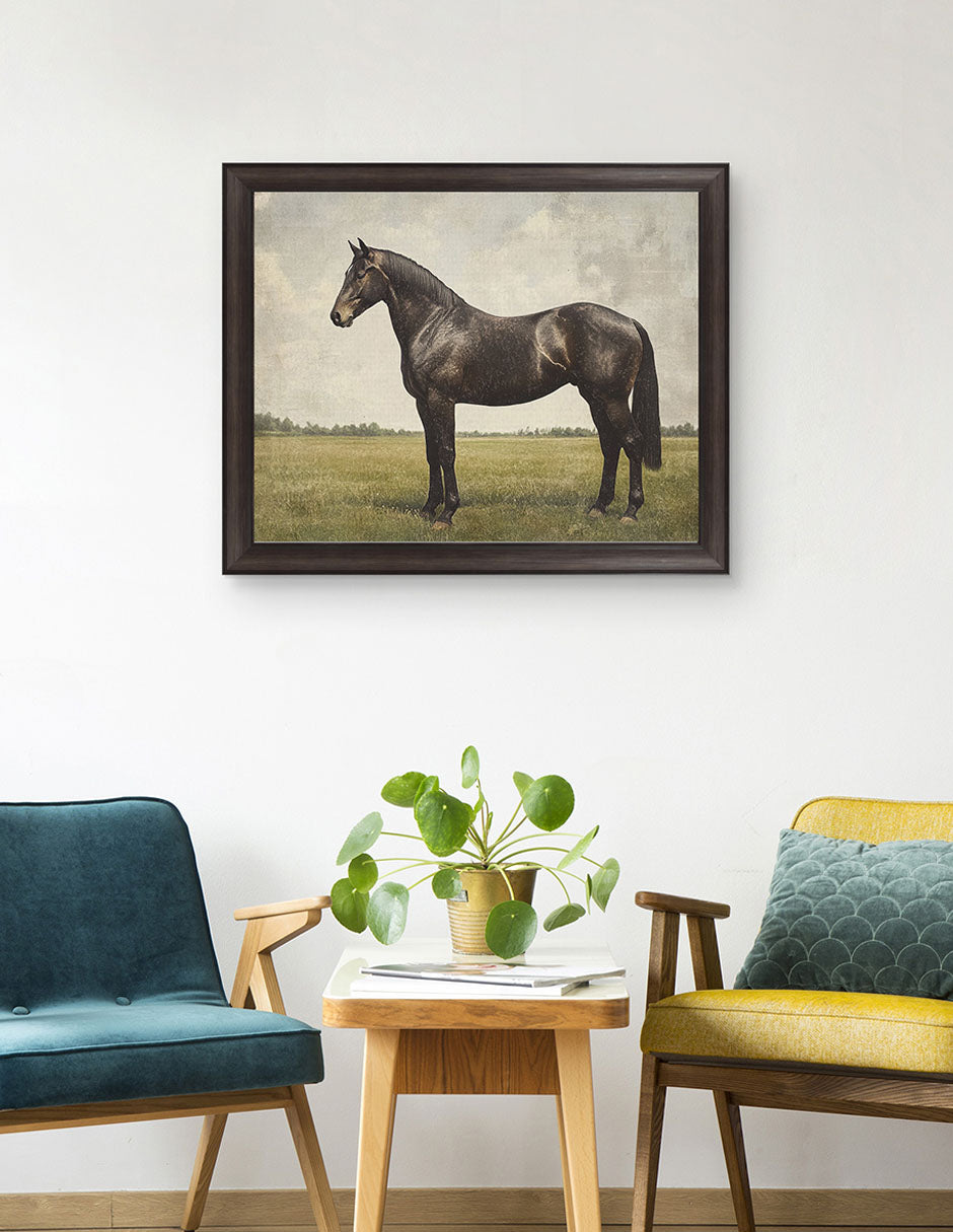 Caballo Expreso - Petals Prints Design