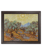 Olivo - Vincent Van Gogh