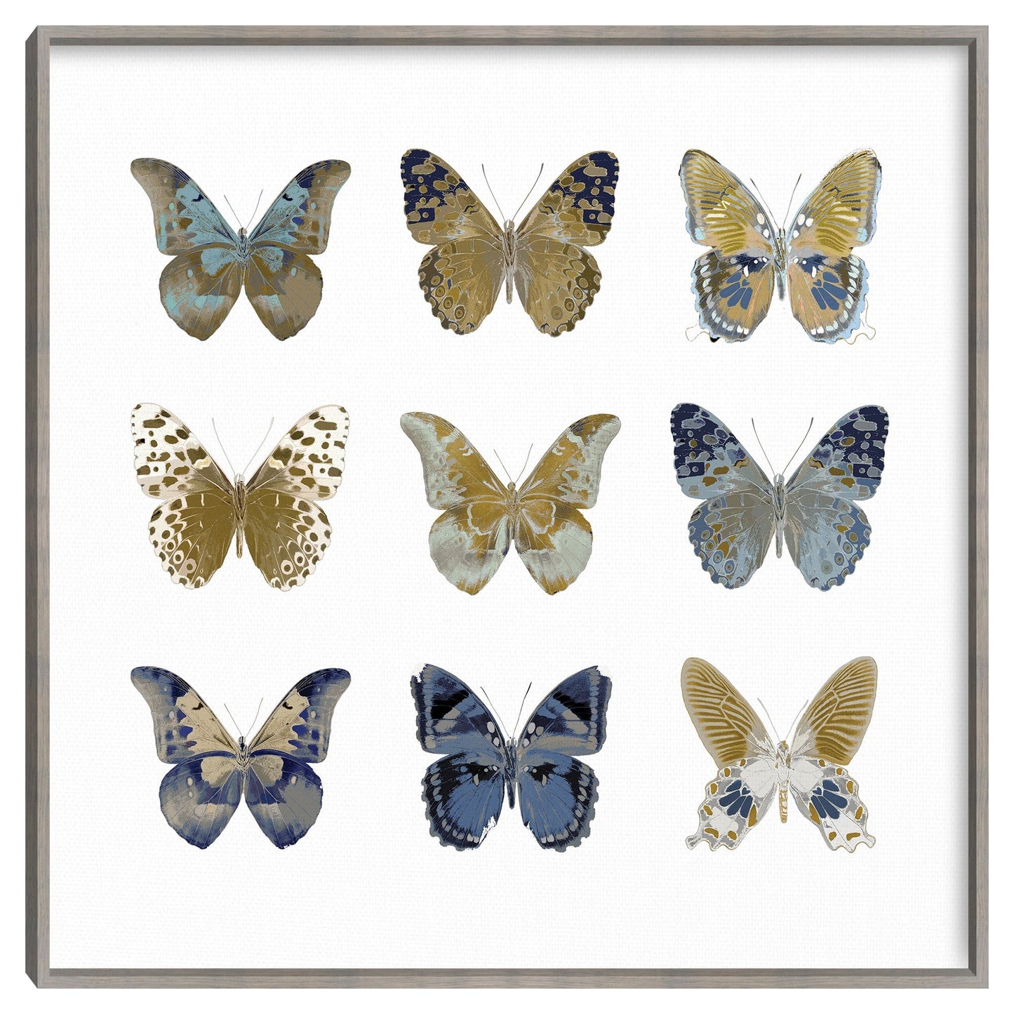 Estudio de mariposa I - Julia Bosco