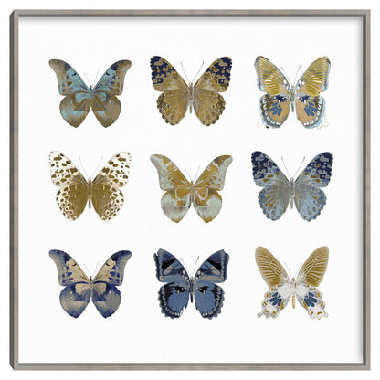 Estudio de mariposa I - Julia Bosco