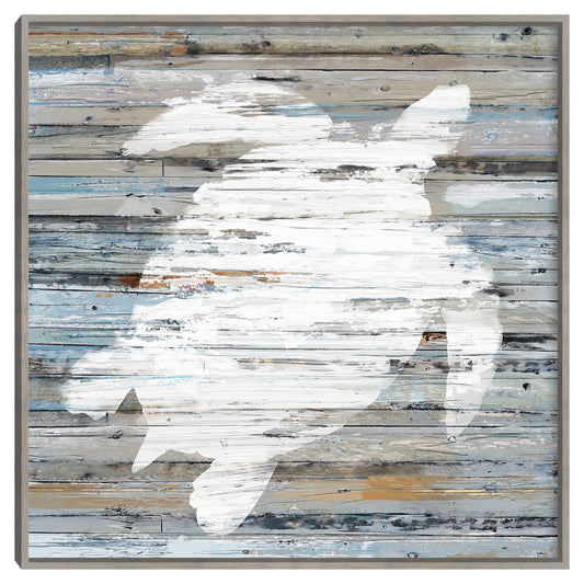 Tortuga de playa - Studio Arts
