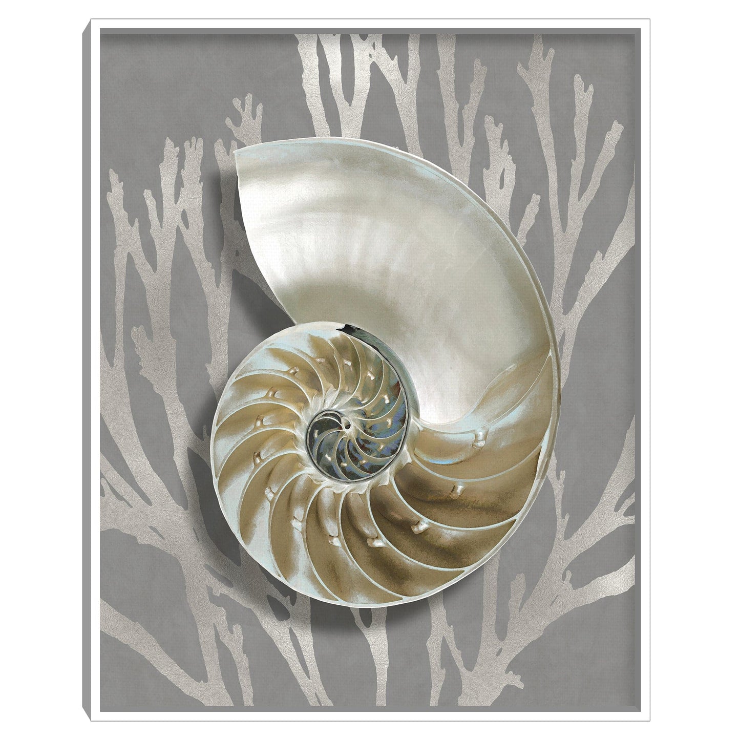 Concha Coral Plata - Caroline Kelly