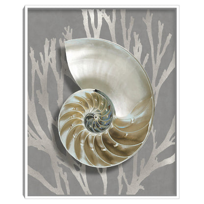 Concha Coral Plata - Caroline Kelly