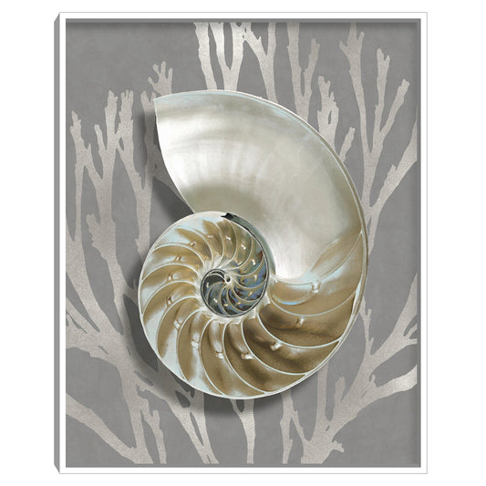 Concha Coral Plata - Caroline Kelly