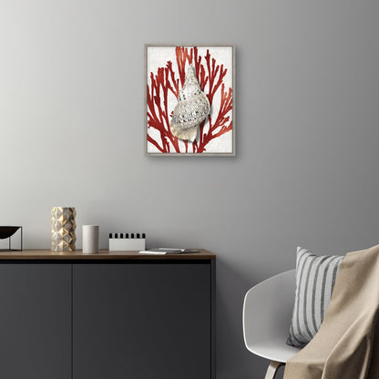 Concha Coral Rojo - Caroline Kelly
